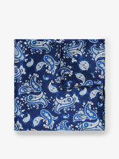 Pocket Square Paisley