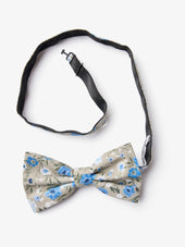 Bow Tie