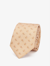 Tie Paisley