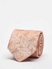 Tie Paisley