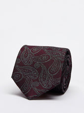 Tie Paisley