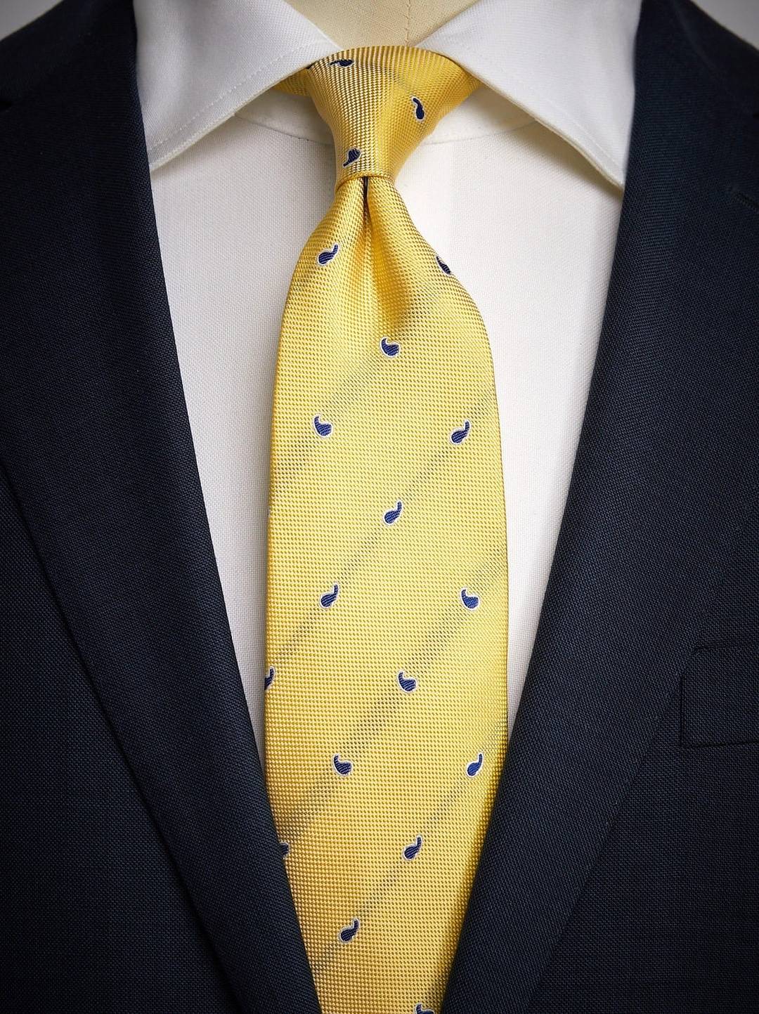 Tie Small Paisley