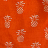 Pineapple Print Swim Shorts In
