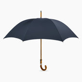 Umbrella With Whangee Crook Handle