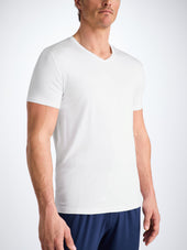 Men S V Neck T Shirt Basel Micro Modal Stretch