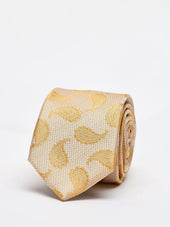 Tie Paisley