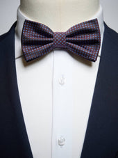 Brown & Blue Bow Tie