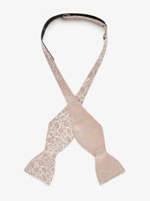Bow Tie