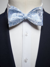 Bow Tie