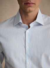 Striped Shirt
