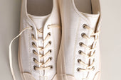 The Plimsoll