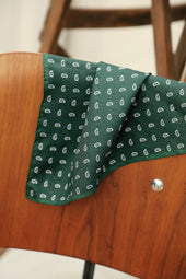 Pochette Marvin Vert