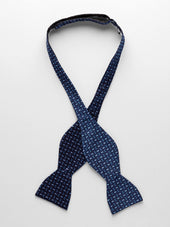 Bow Tie Small Paisley