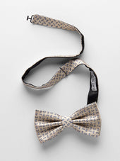 Bow Tie Small Paisley