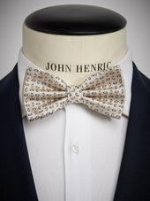 Bow Tie Small Paisley