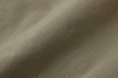 Short Sleeve Workshirt ~ Iridescent Ripstop