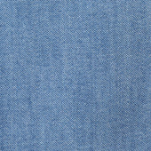 Denim Button Down Shirt Light Regular Fit
