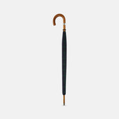 Watch Tartan Traveller Umbrella With Malacca Crook Handle