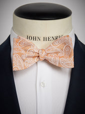 Tie Paisley