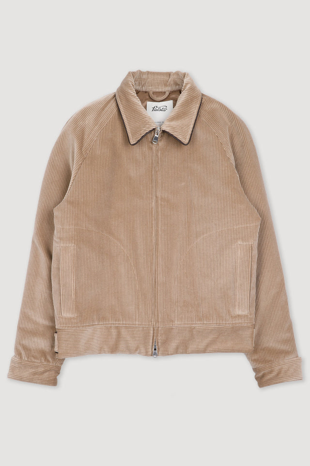 Padded zip jacket in stretch cotton corduroy. Beige - Sable