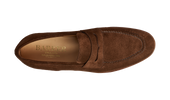 Ledley Castagnia Suede