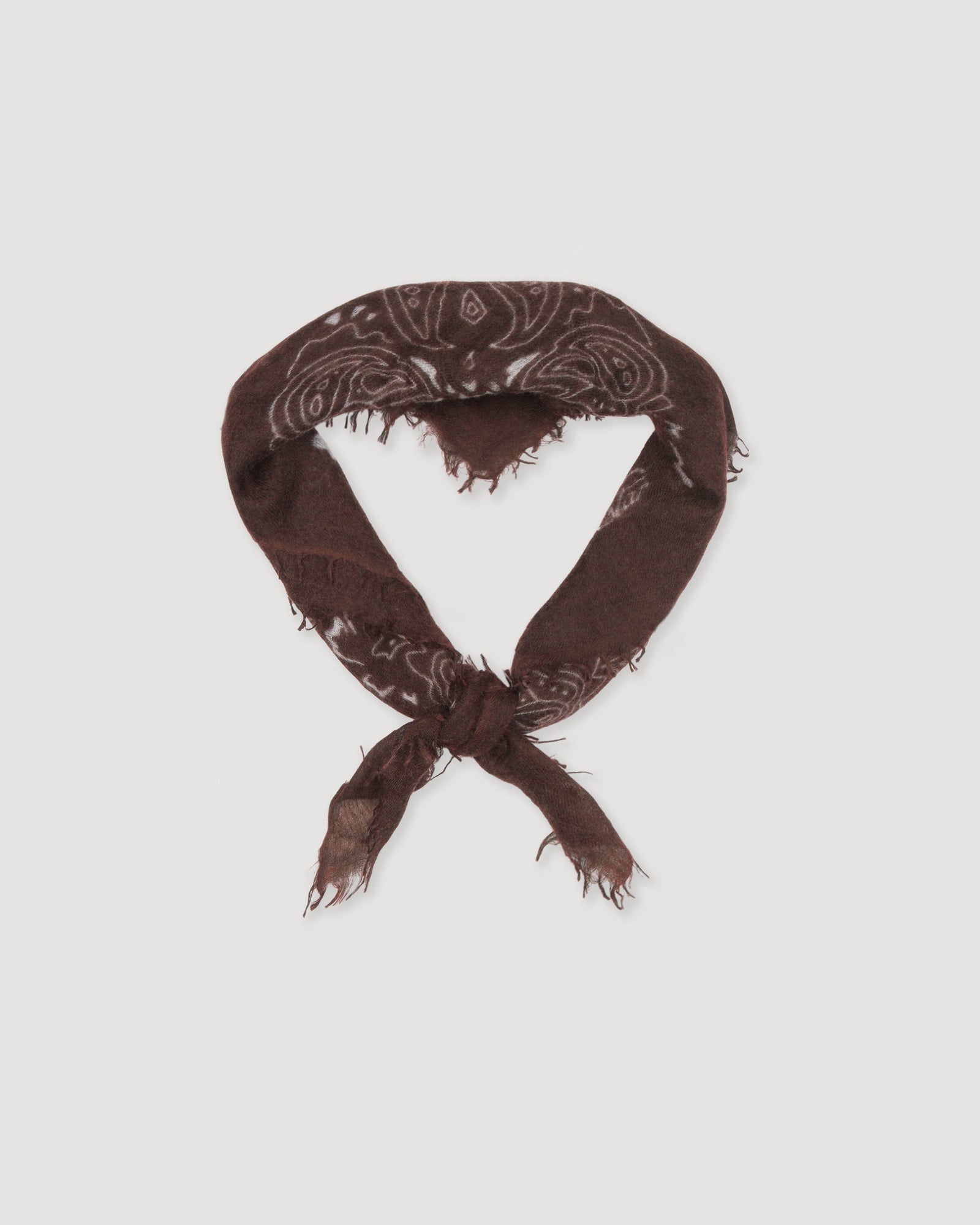 Cashmere Scarf With Paisley Print Marrone