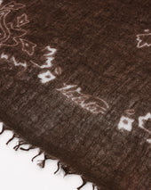 Cashmere Scarf With Paisley Print Marrone