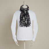 Cashmere And Silk Ikat Scarf In