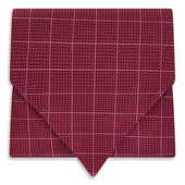 Dotted Check Pattern Printed Silk Cravat