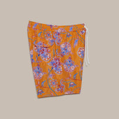 Paisley Print Swimming Shorts In