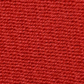 Webbing Belt In Scarlet