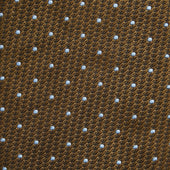 Lace On Tone Spot Earth River Tie
