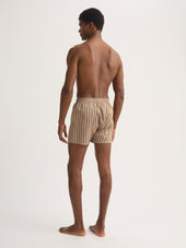 Men's Classic Fit Boxers Wellington Cotton Brown and Blue Multicolor Stripe