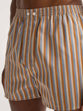 Men's Classic Fit Boxers Wellington Cotton Brown and Blue Multicolor Stripe