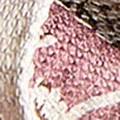 Pochette in seta fantasia floreale rosa