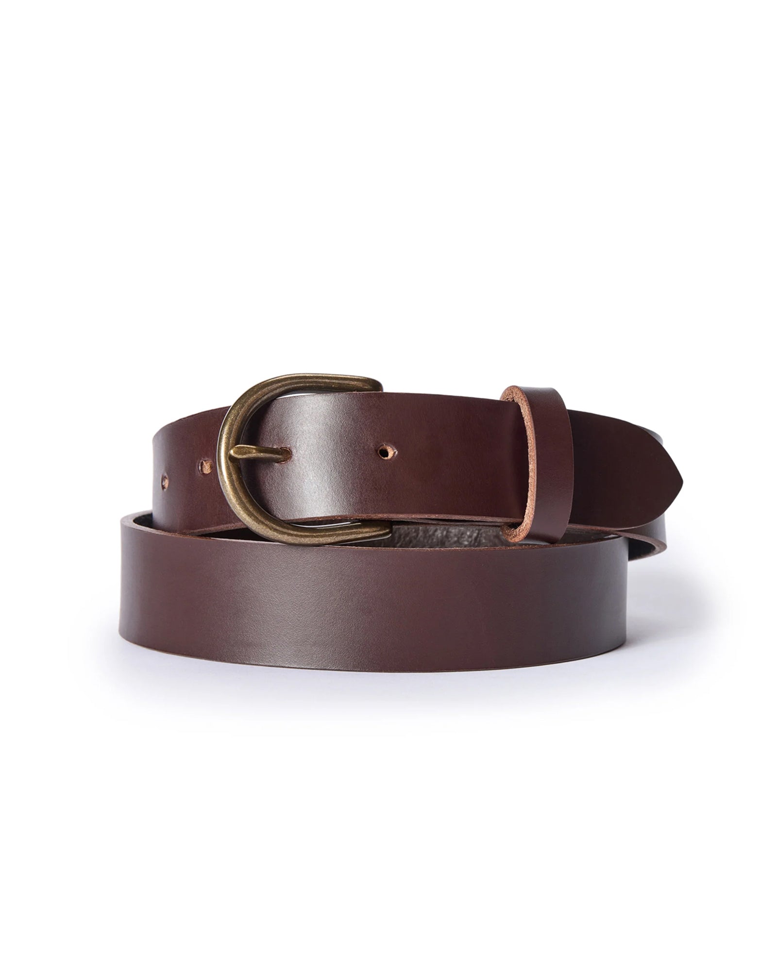 The Foundation Belt In Dark Brown