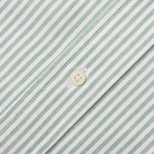 Green Stripe Spring Oxford