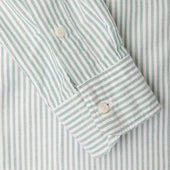 Green Stripe Spring Oxford