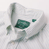 Stripe Brushed Fall Oxford