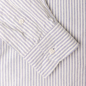 Stripe Brushed Fall Oxford