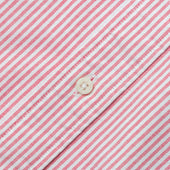 Red Stripe Oxford