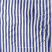 Bengal Stripe Dress Shirt
