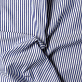 Bengal Stripe Dress Shirt