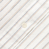 Striped Japanese Oxford