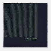 And Fern Green Stripe Silk Pocket Square