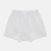 And Blue Stripe Godfrey Boxer Shorts