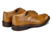7047 - Men's Derby ToeCap Brogue - Chestnut Windsor Bonaudo