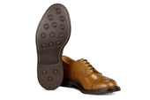 7047 - Men's Derby ToeCap Brogue - Chestnut Windsor Bonaudo
