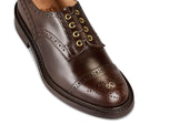 7047 - Men's Derby ToeCap Brogue - Dark Brown Windsor Bonaudo