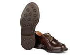 7047 - Men's Derby ToeCap Brogue - Dark Brown Windsor Bonaudo